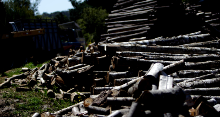 trabajadores forestales