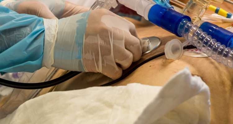 turista australiano puente Osorno