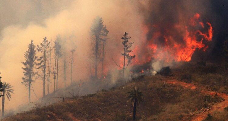 Onemi decreta Alerta Roja en comuna La Estrella por incendio forestal