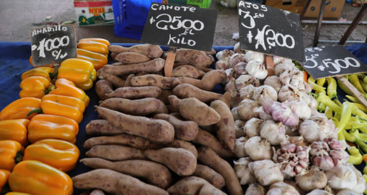 Precios podrían cambiar: Gobierno convoca a Comité de Seguridad Alimentaria tras paro de camioneros