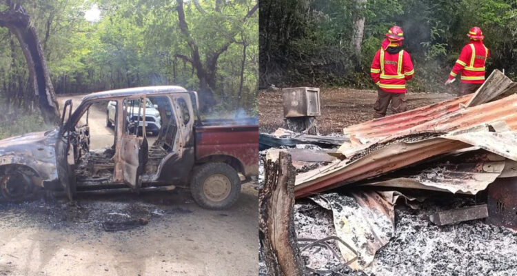 Ataque incendiario Parque Nacional Nahuelbuta