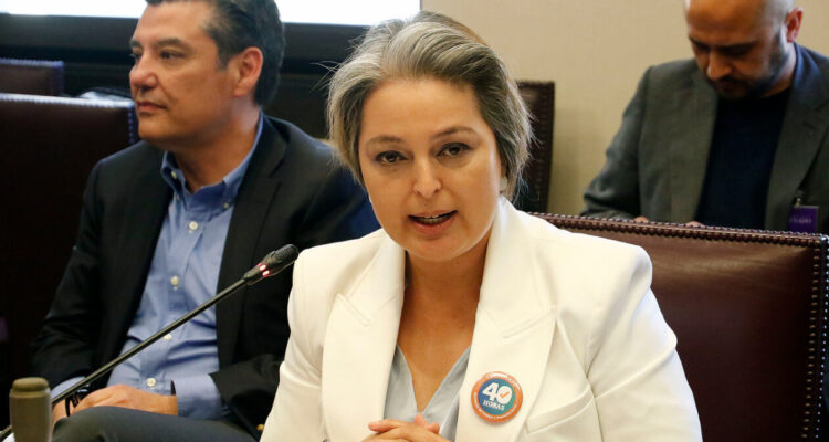 El autopréstamo que incluyó el Gobierno en la Reforma Previsional: tomó idea del PDG