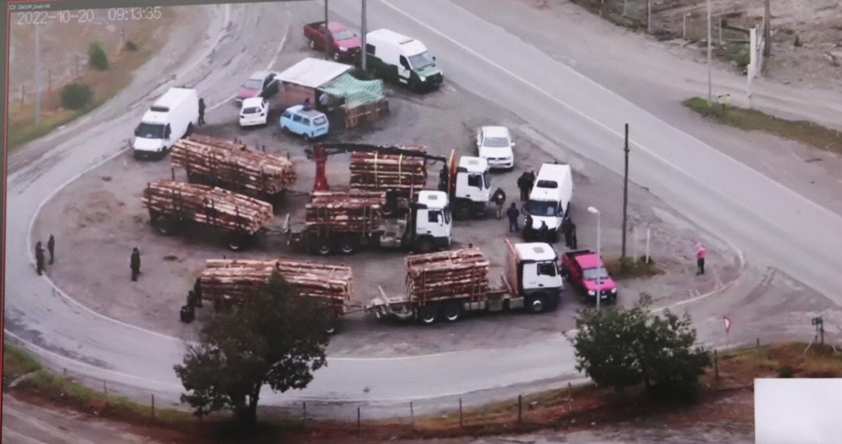 Camiones sindicados al robo de madera en Bío Bío y La Araucanía