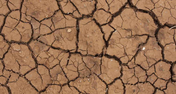 calentamiento global