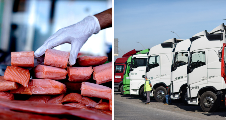 Paro de camiones afecta industria salmonera