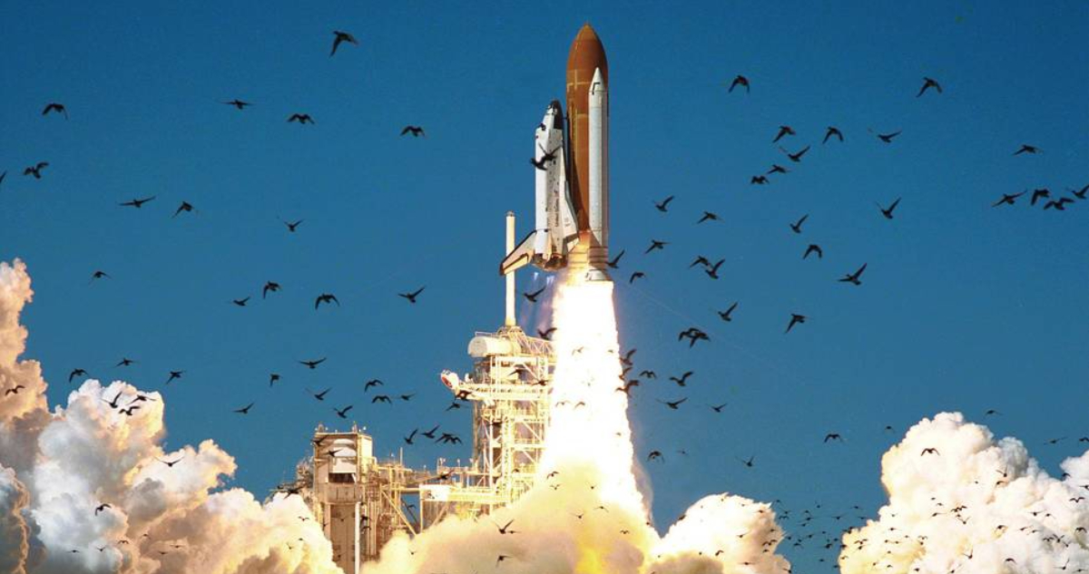 Encuentran restos del Challenger de la NASA