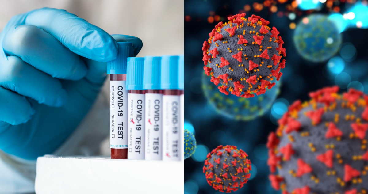 Científicos identifican nueva proteína del coronavirus