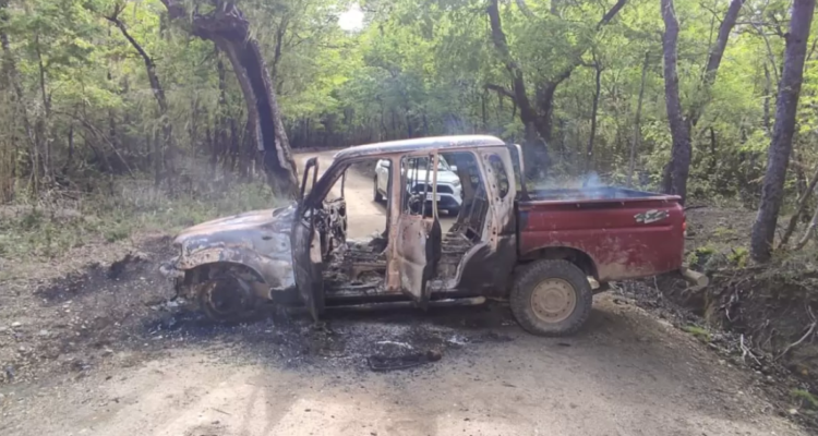 Conaf parques nacionales ataques