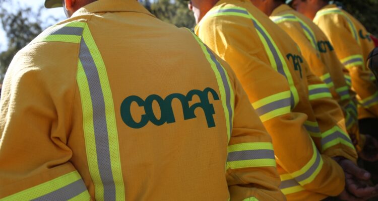 CONTEXTO | Diego Martín | Agencia UNO