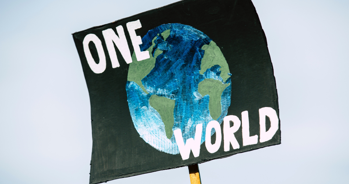 cop-27