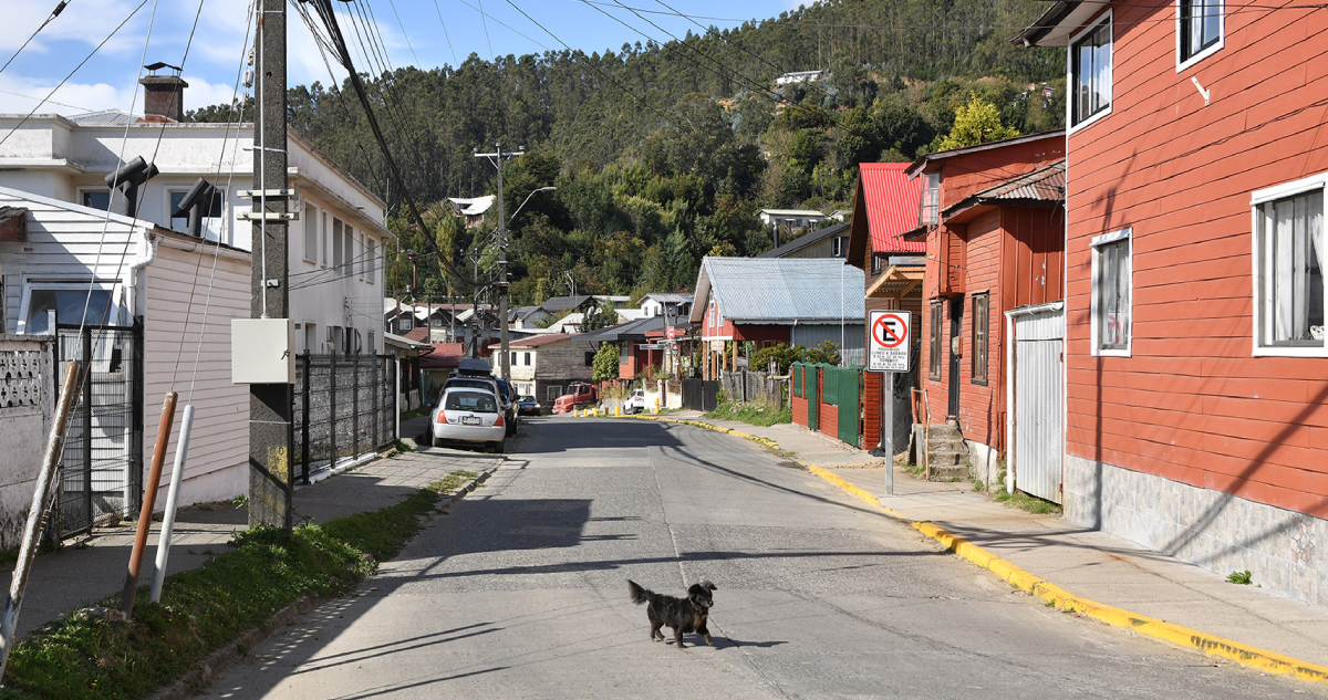 Corral se queda sin transporte a Valdivia: empresa suspendió servicio por “baja rentabilidad”