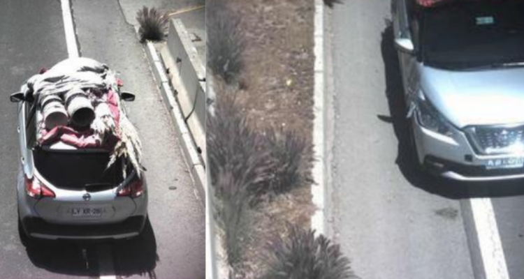 Imágenes de cámaras de seguridad que muestran vehículo aparcado en la carretera para robar plantas.