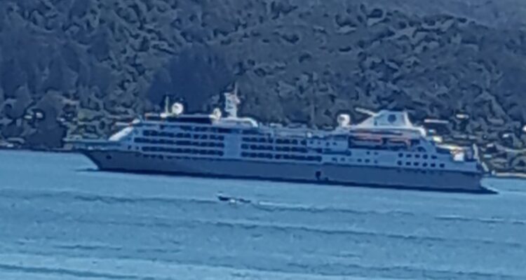 Recalada de cruceros en Los Ríos