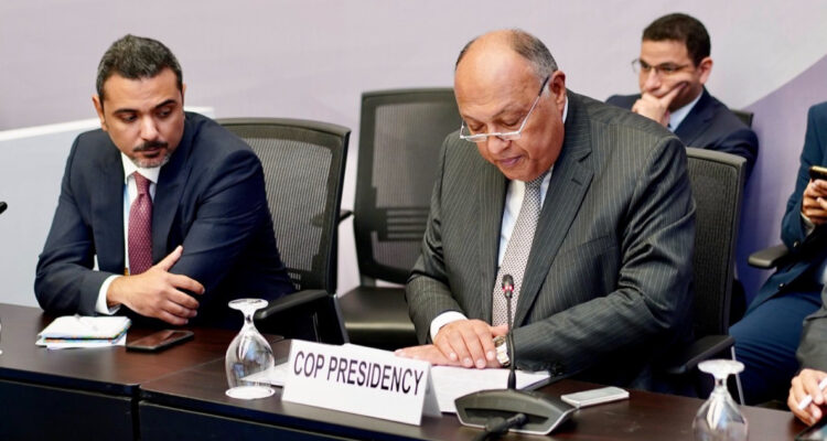 Presidente de la COP27