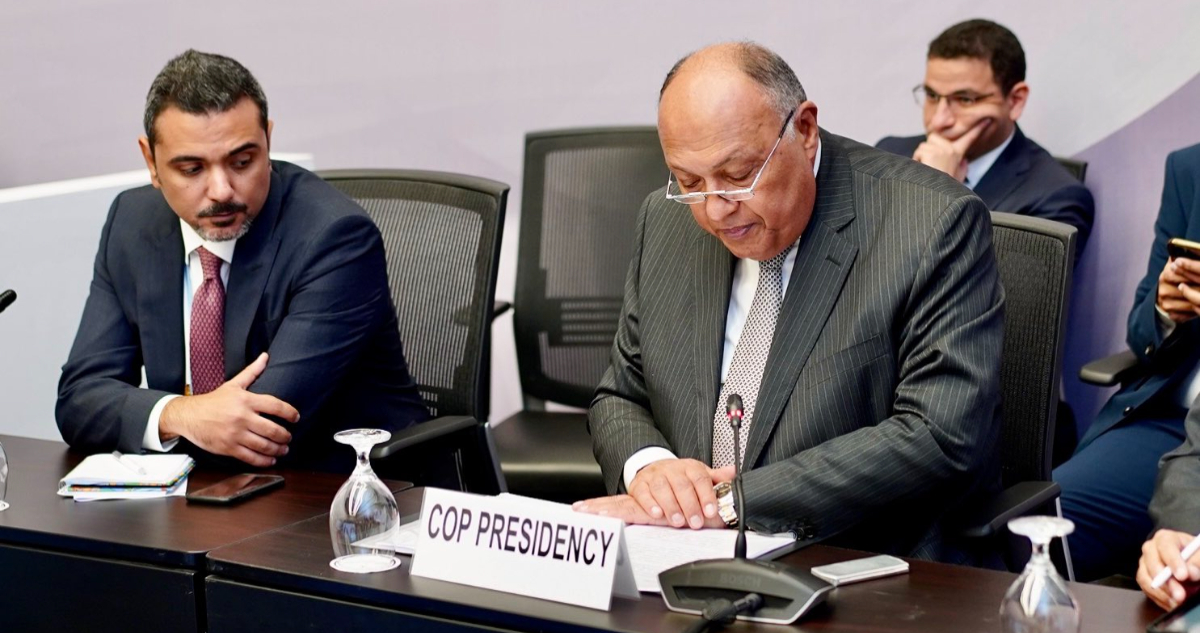 Presidente de la COP27
