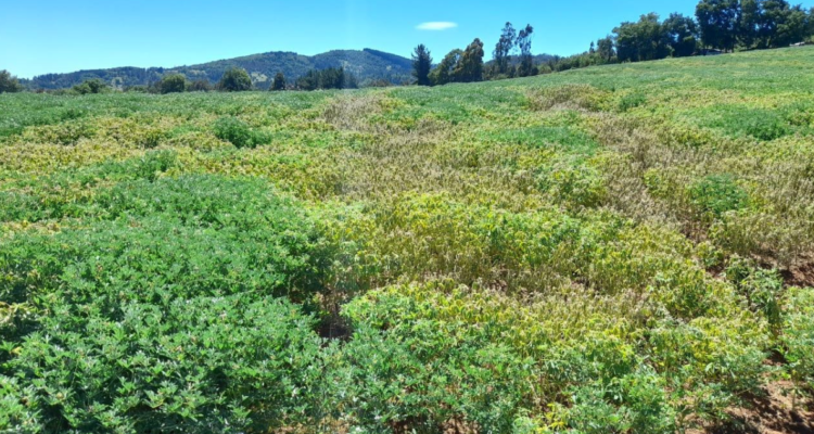 Denuncian ataque a fundo de exdirector del Registro Civil