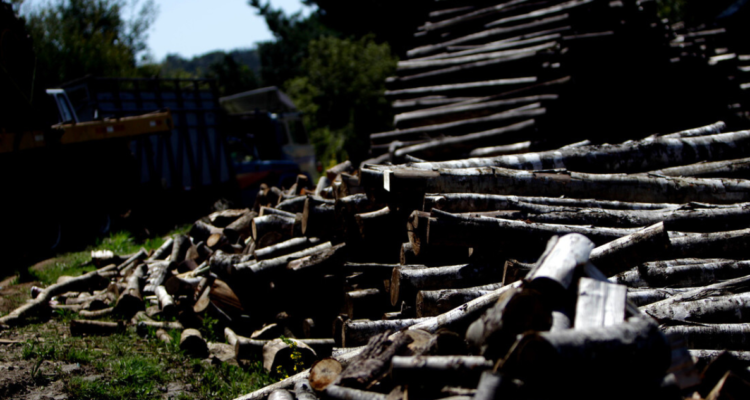 Detienen a cinco personas por robo de madera en el Bío Bío