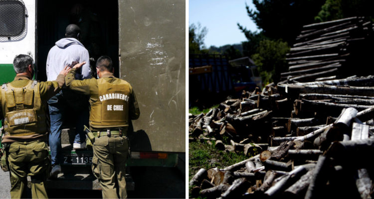 Detalle de detenidos por robo de madera