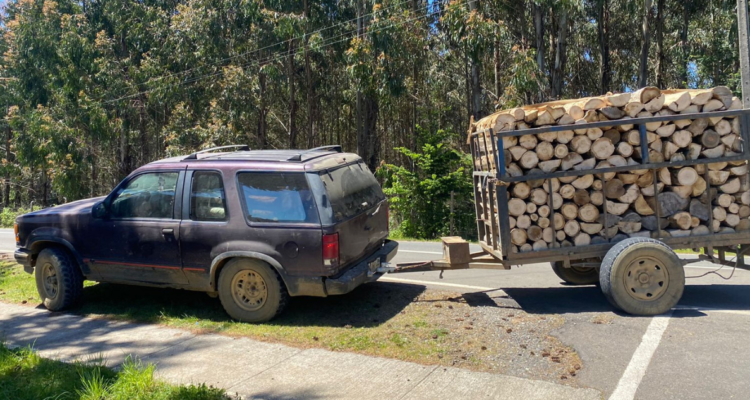 Detienen a dos adultos y un menor de edad por robo de madera en La Unión