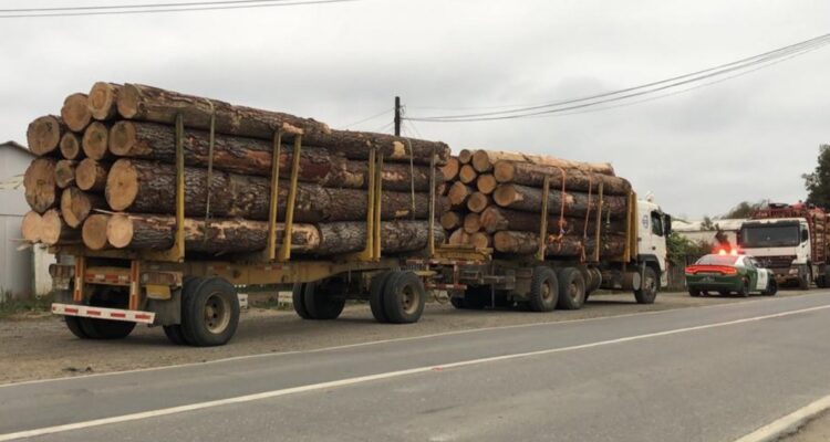 Actuar “inexplicable” y un reclamo formal: las dudas que recaen sobre fiscal en provincia de Arauco