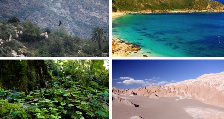 Chile tiene el 80% de los ecosistemas del mundo
