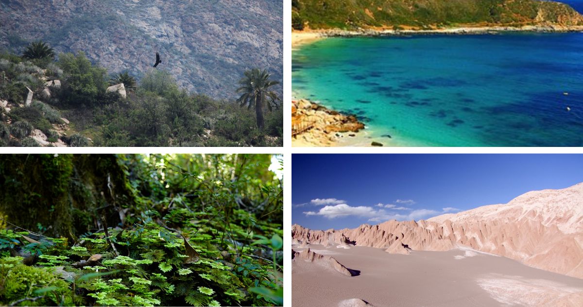 Chile tiene el 80% de los ecosistemas del mundo
