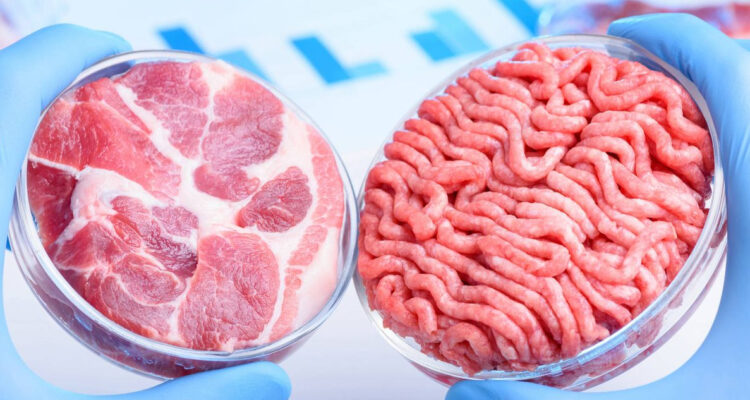 Revolución alimentaria EEUU aprueba consumo de carne cultivada con células animales
