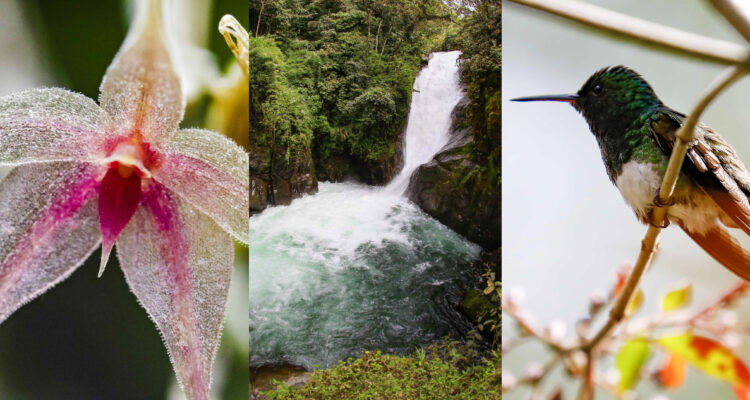El Valle del Chirripó, el pequeño paraíso natural de Costa Rica que atrae cada vez a más turistas