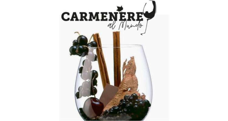 eligen al mejor vino de chile