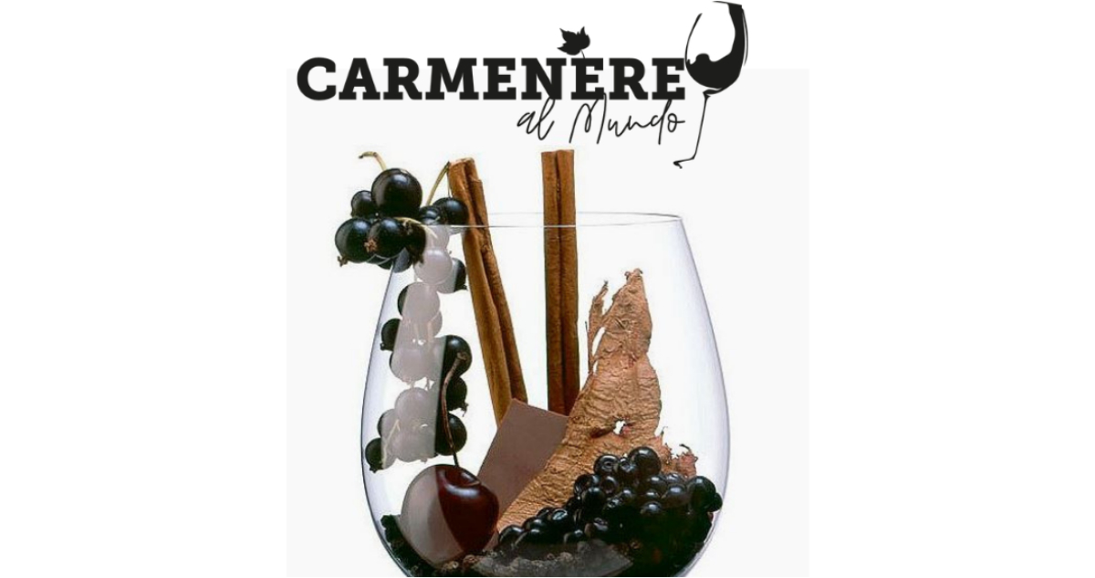 eligen al mejor vino de chile
