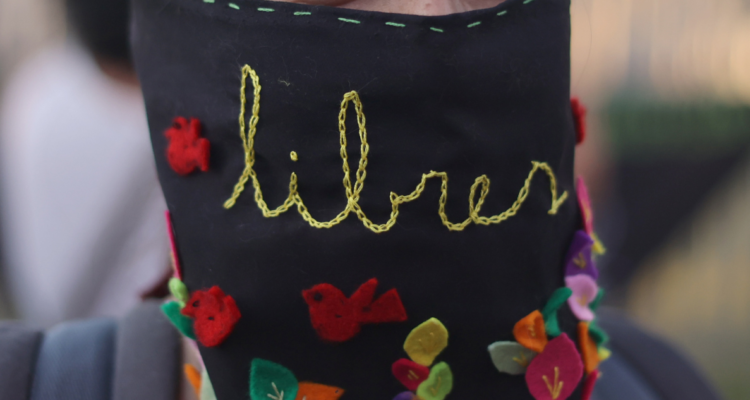 eliminación de la violencia contra la mujer