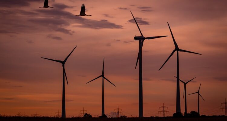 Energías limpias y renovables