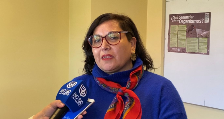 Entrevista a delegada presidencial en Los Ríos