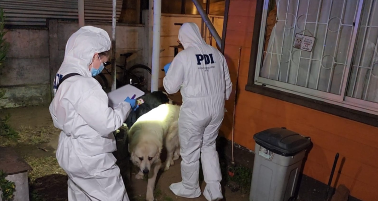 Mujer fue apuñalada por su conviviente en Valdivia
