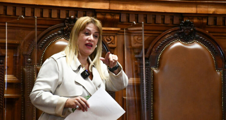 Fiscal Nacional: Suprema rechaza “descalificaciones” en medio de críticas desde el Senado al proceso