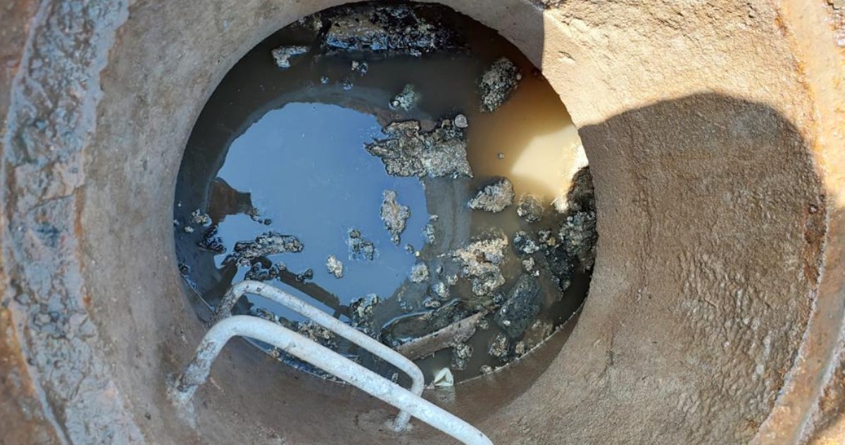 Fosa en Isla de Maipo