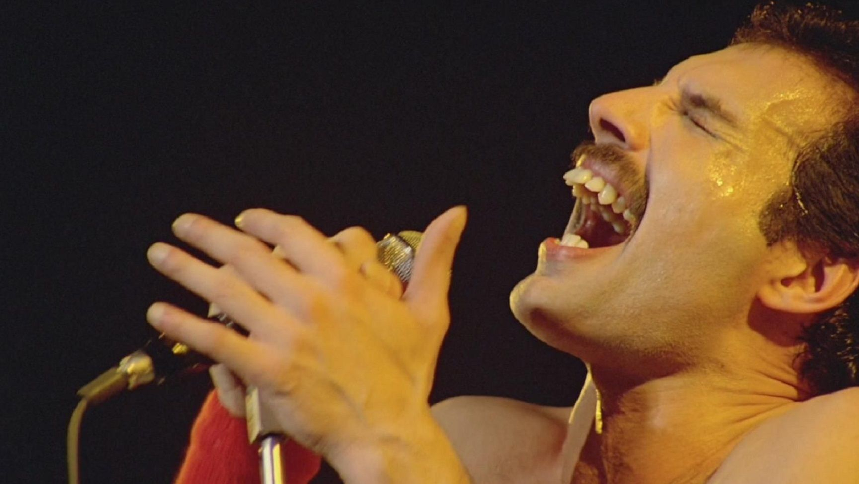 El último mensaje de Freddie Mercury
