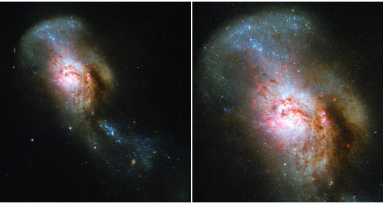 Ciudadanos podrán ayudar a clasificar galaxias medusa