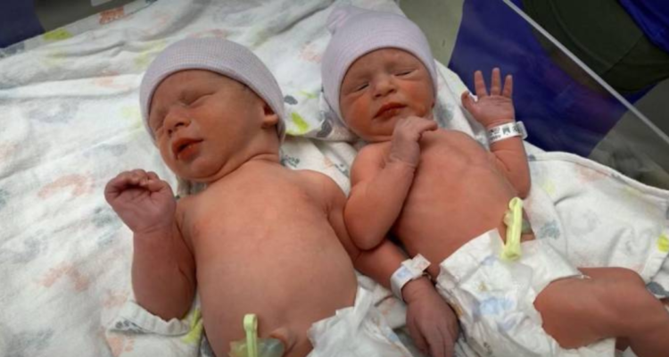 Gemelos de embriones congelados