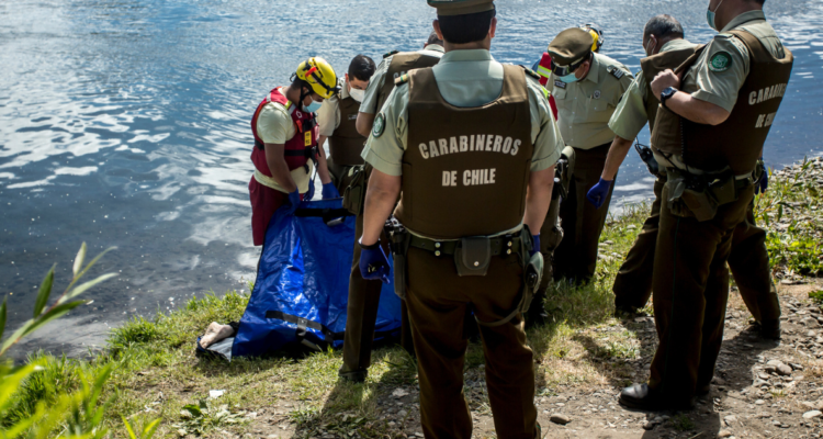 cadáver Río Damas Osorno