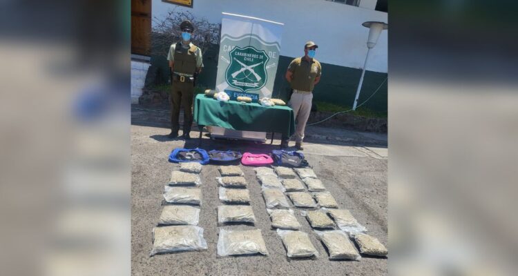 Detienen a 3 sujetos que viajaban enmascarados y con 30 kilos de marihuana kreepy en Arica