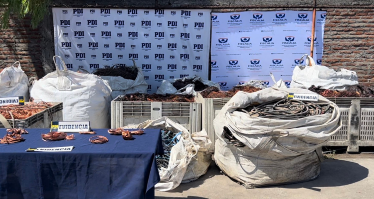 Incautan siete toneladas de cable de cobre robado en la región de O’Higgins.
