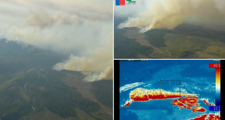 Incendios forestales ya suman más de 3.600 hectáreas quemadas