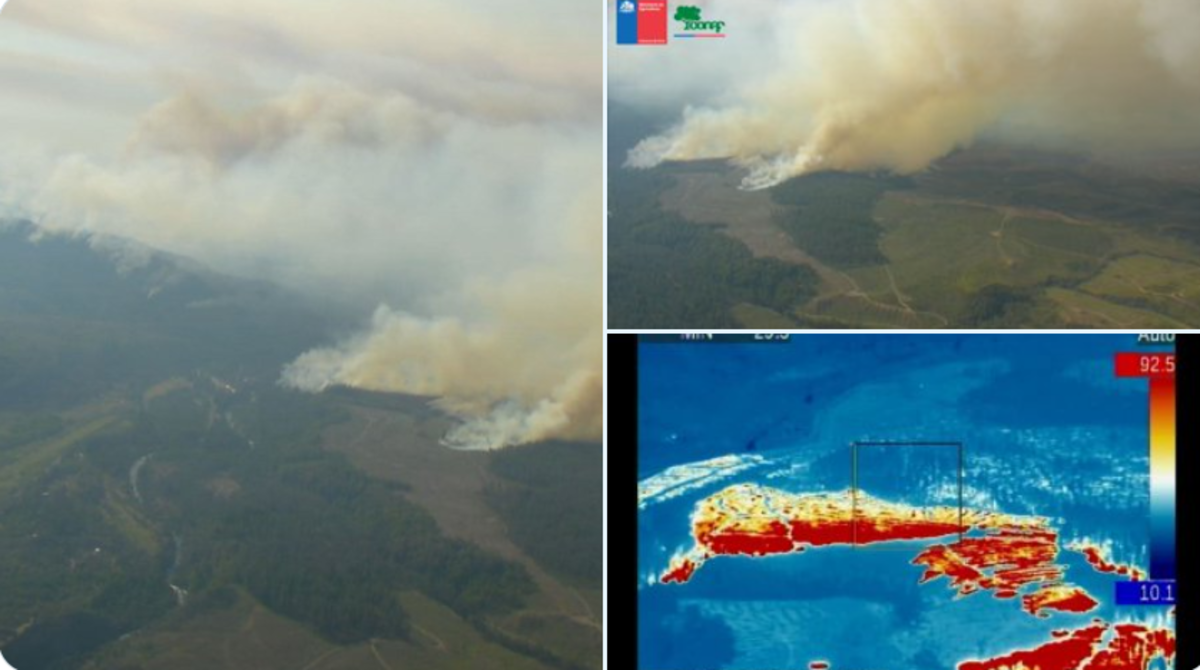 Incendios forestales ya suman más de 3.600 hectáreas quemadas