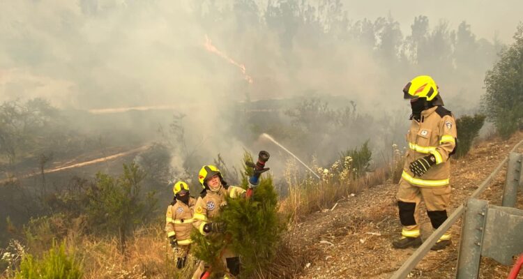 Evacuación por incendio en Quilpué