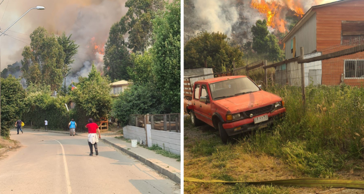 Incendio forestal por tala ilegal en Arauco