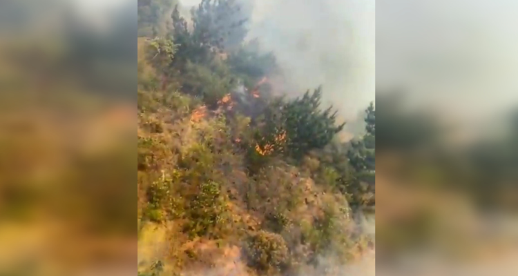 incendio forestal Tomé
