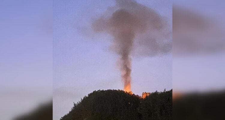 Bomberos combaten tres focos de incendios forestales en la comuna de Lota