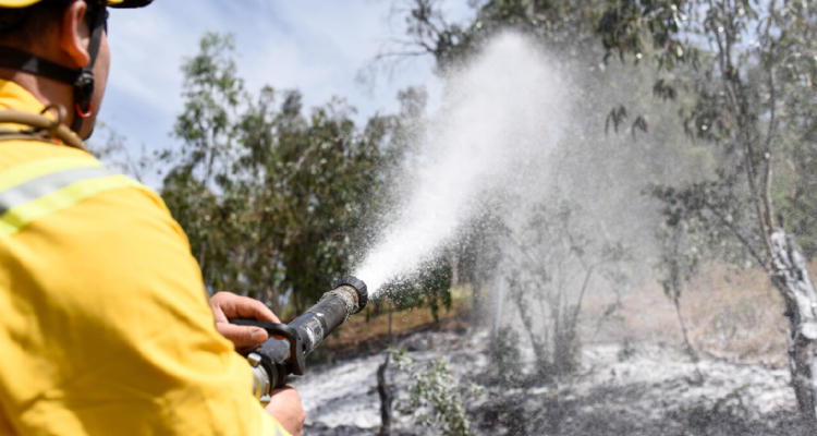 La Araucanía: Incendio afectó a Parque Nacional Tolhuaca