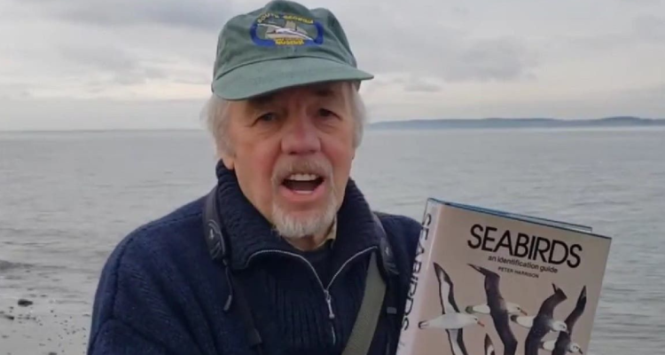 investigador autraliano robo Reñaca